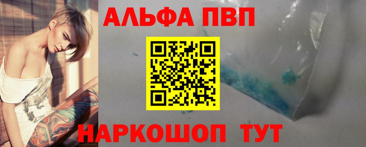 A PVP СК КРИС Лесосибирск