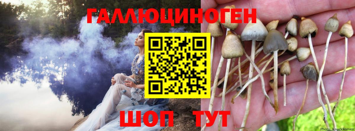 Галлюциногенные грибы прущие грибы  Вход с VPN  Лесосибирск 